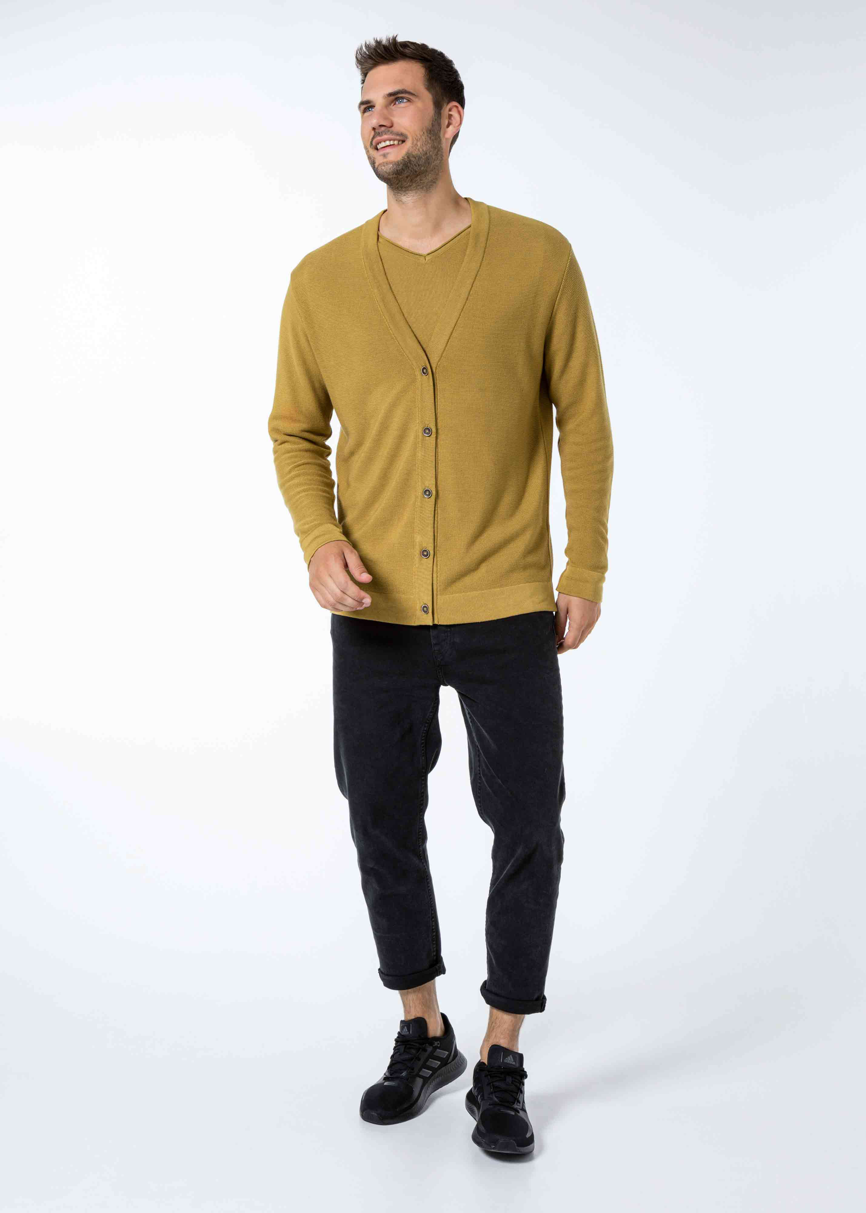 2202-213-TIMON-senf-model-web