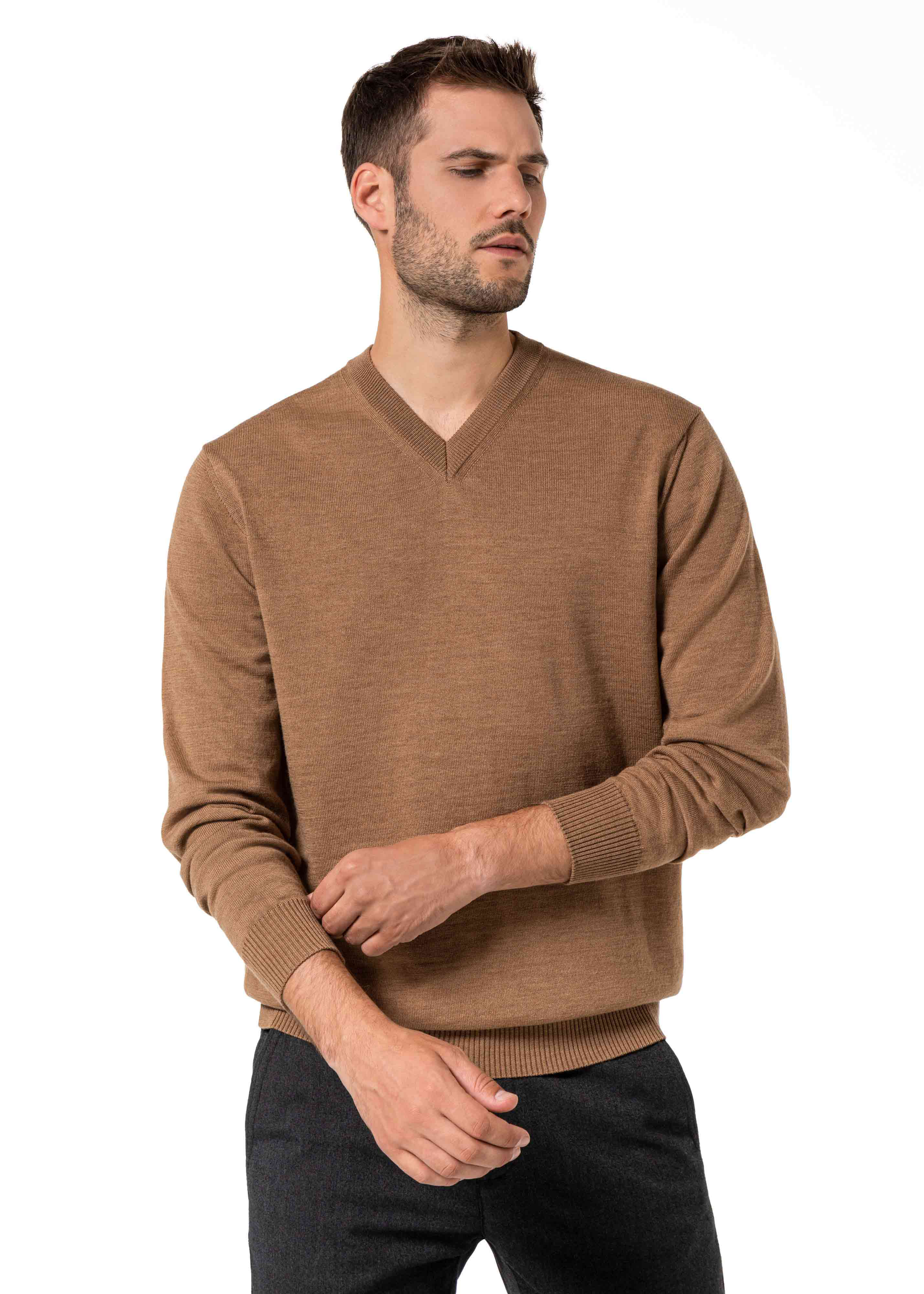 2202-104-MAURICE-Camel-Model-web