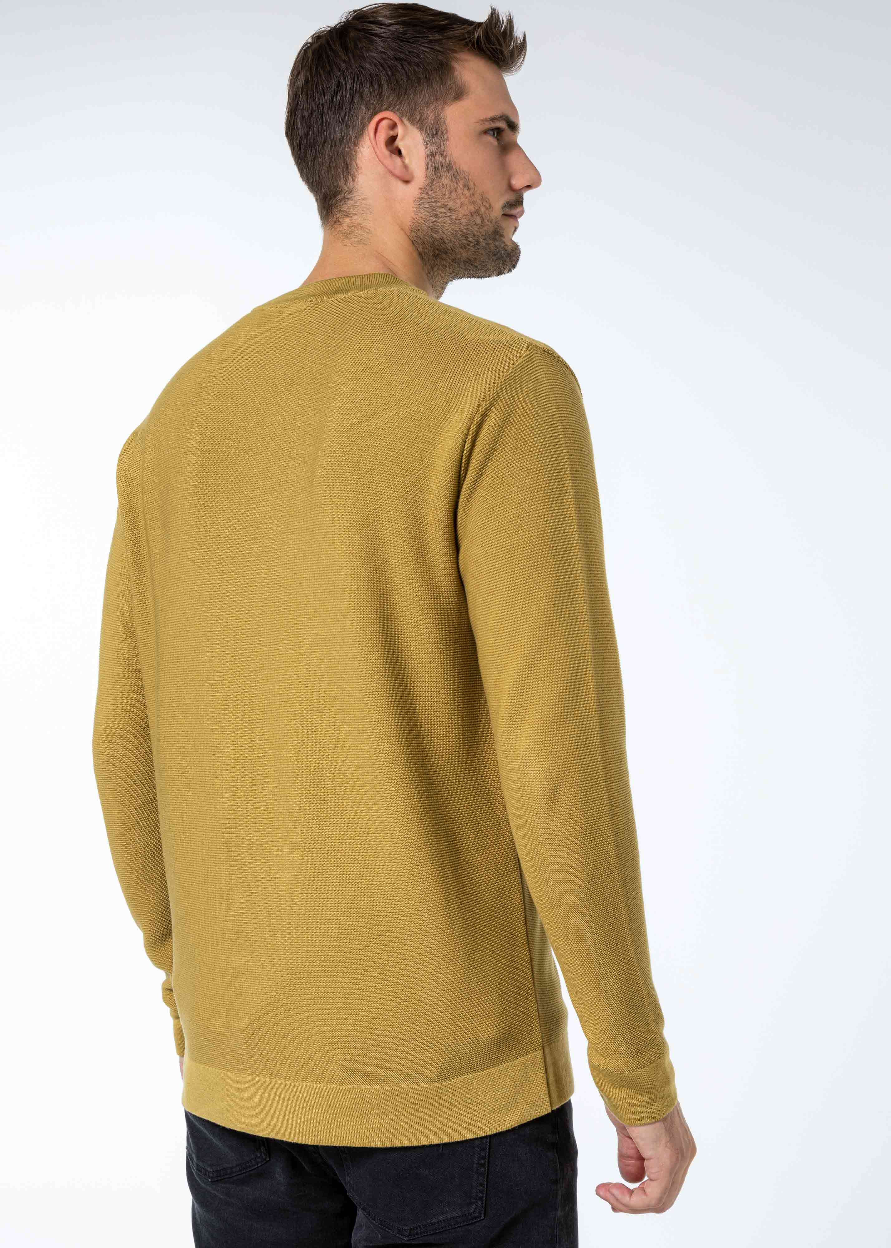2202-213-TIMON-senf-model-back-web